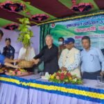 পাহাড়কে বাঁচিয়ে রাখতে হলে গাছ…