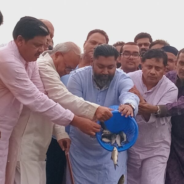 গাজীপুরে চিলাই নদীতে মাছের পোনা অবমুক্ত করলেন রুহুল কবির…