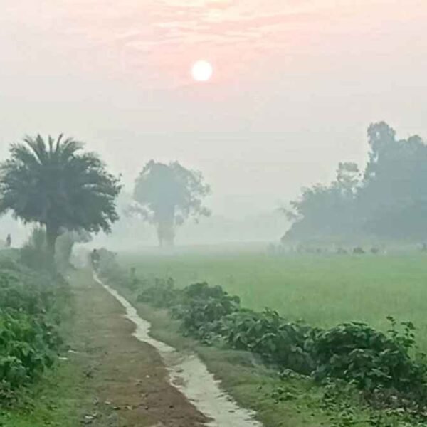 দিনাজপুরে শীতের অভিষেক প্রকৃতি পরছে ‘কুয়াশার চাদর’  