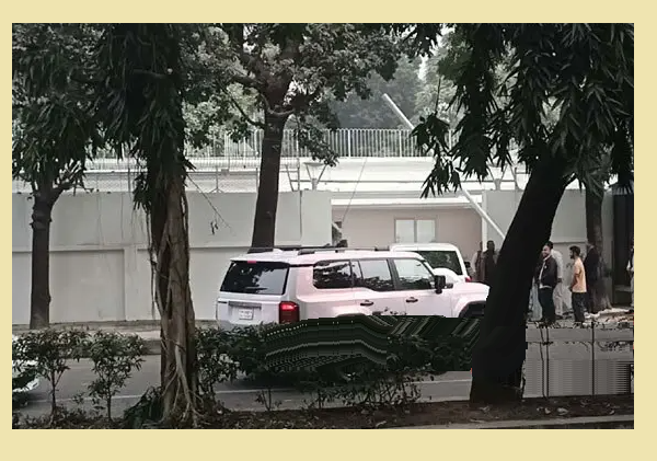 গুলশানের বাসায় পৌঁছেছেন ডা. জুবাইদা ও জাইমা রহমান