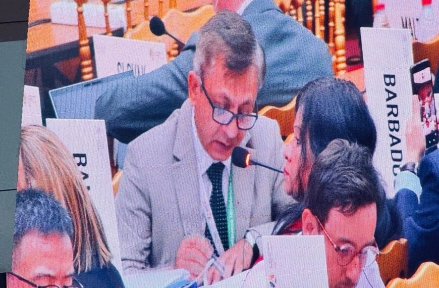 এলডিসি থেকে উত্তরণের পর একটি…