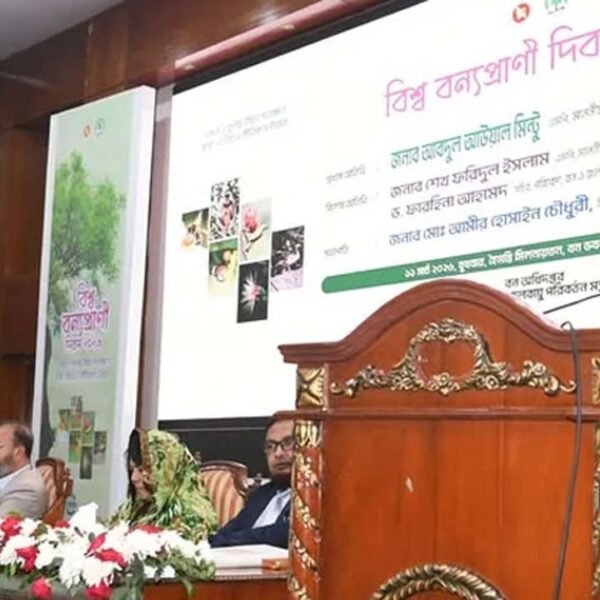 পাঁচ বছরে ২৫ কোটি গাছের চারা রোপণের পরিকল্পনা সরকারের:…