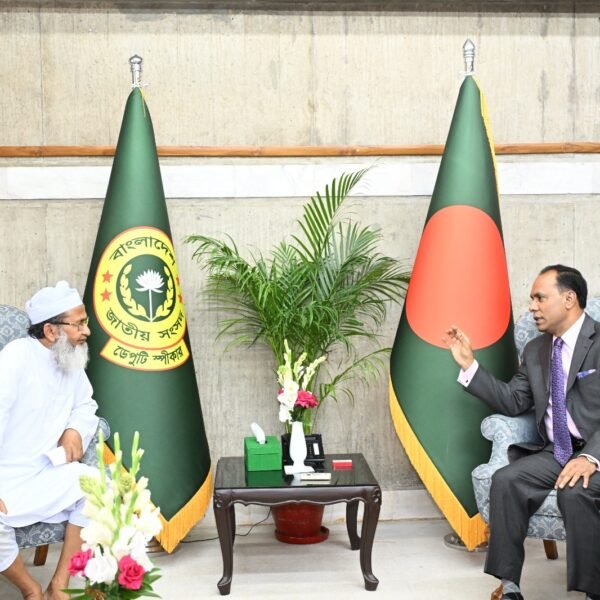 উন্নয়নমূলক কাজে ইউনিয়নভিত্তিক কমিটি গঠন করা হবে – ডেপুটি স্পীকার